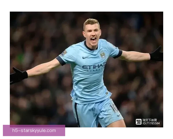 哲科到理查森佛罗伦萨转出盘点